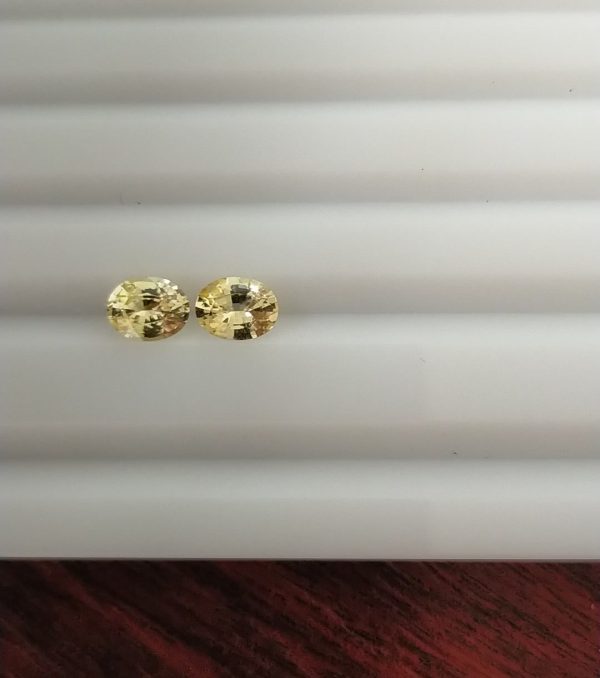 Yellow Sapphire Earrings Pair - Oval - 1.30 ct - COR authenticated